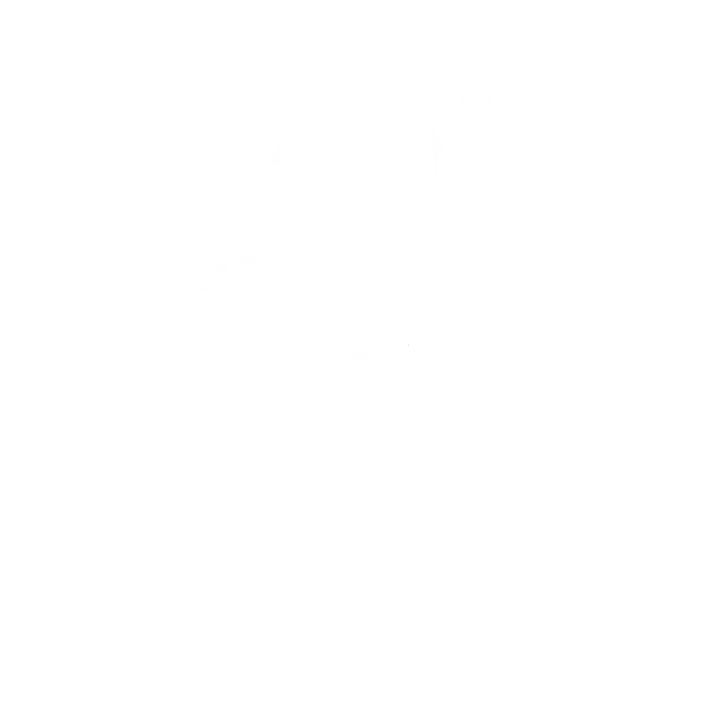 Logo Baztan